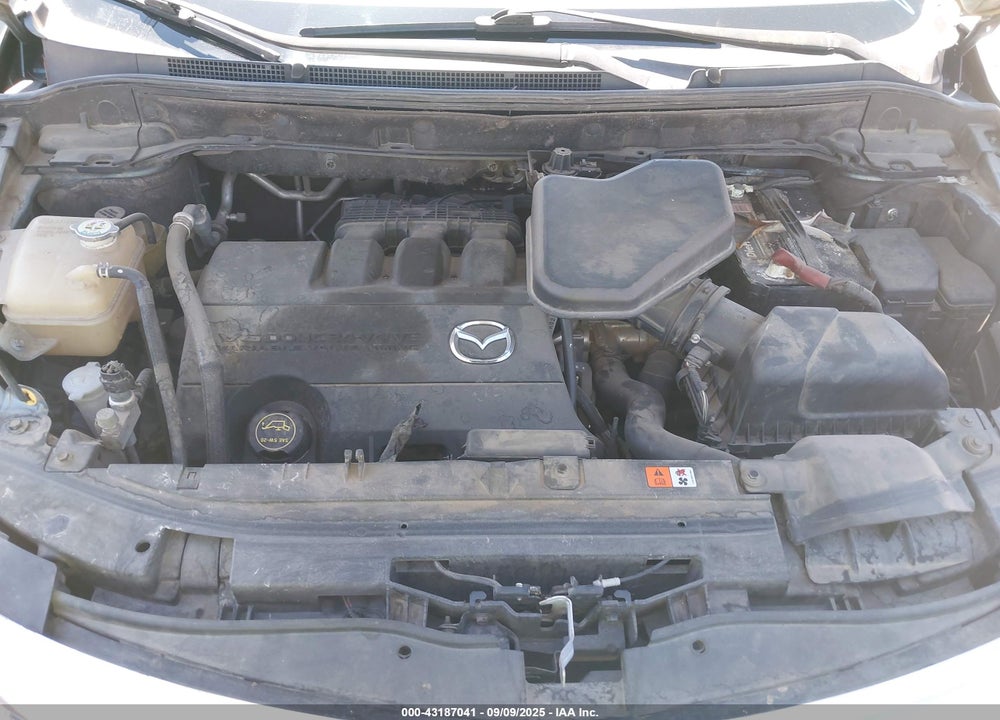 2010 MAZDA CX-9 VIN: JM3TB2MV3A0211730