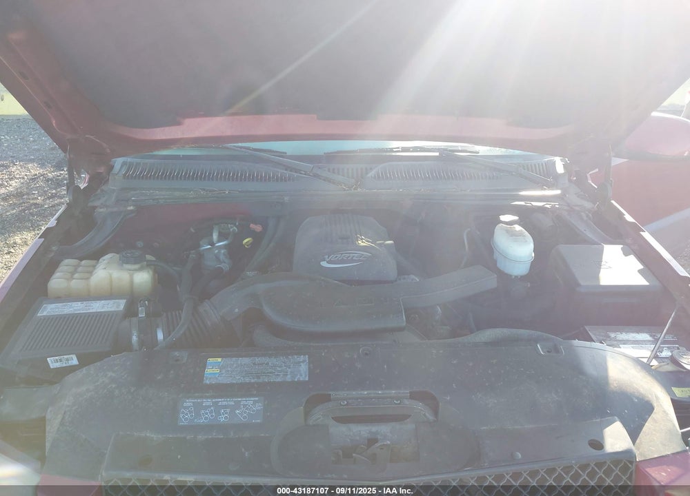 2004 CHEVROLET AVALANCHE K1500 VIN: 3GNEK12T04G288785