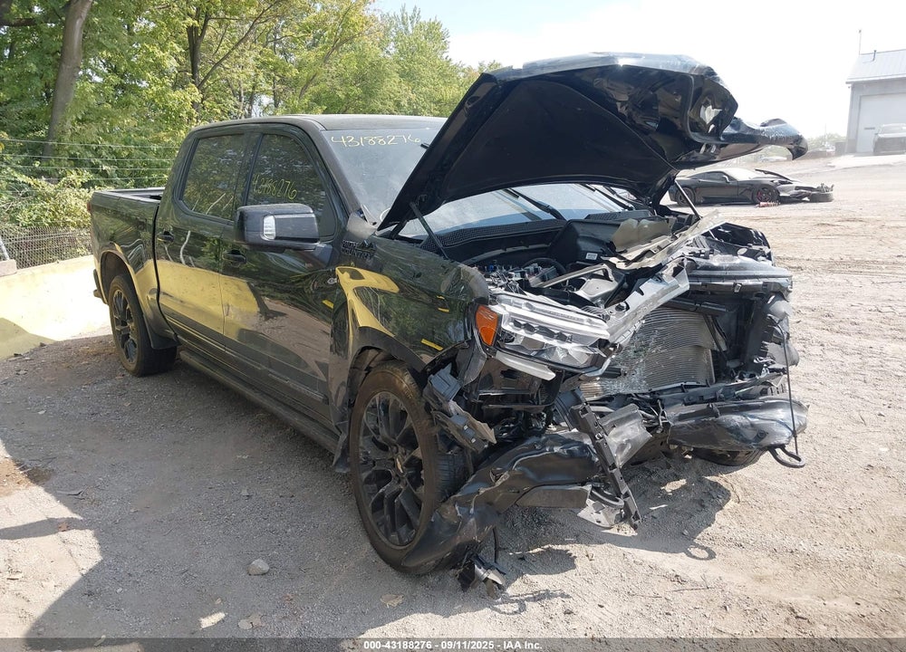 2024 CHEVROLET SILVERADO 1500 VIN: 1GCUDJED2RZ371886