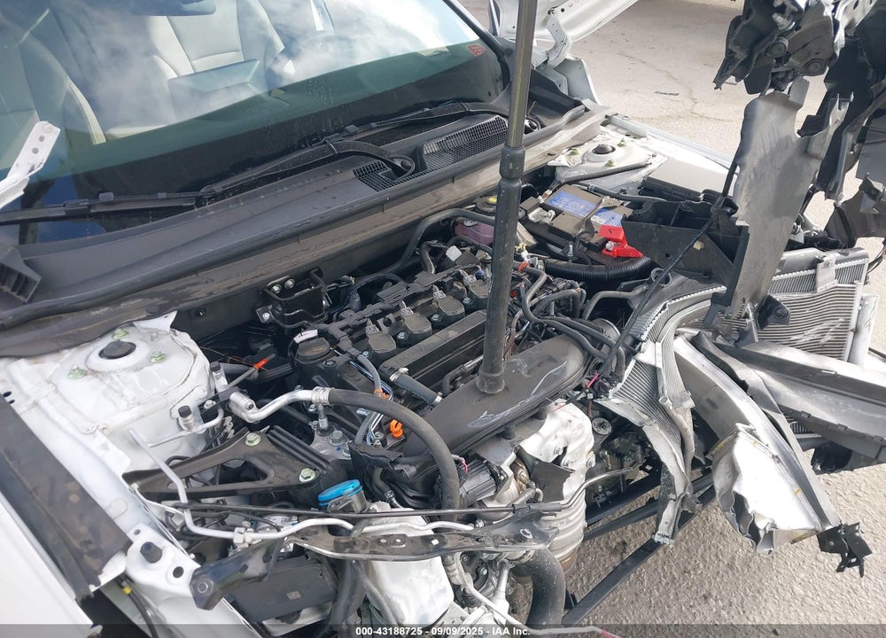 2024 HONDA ACCORD VIN: 1HGCY1F23RA058794