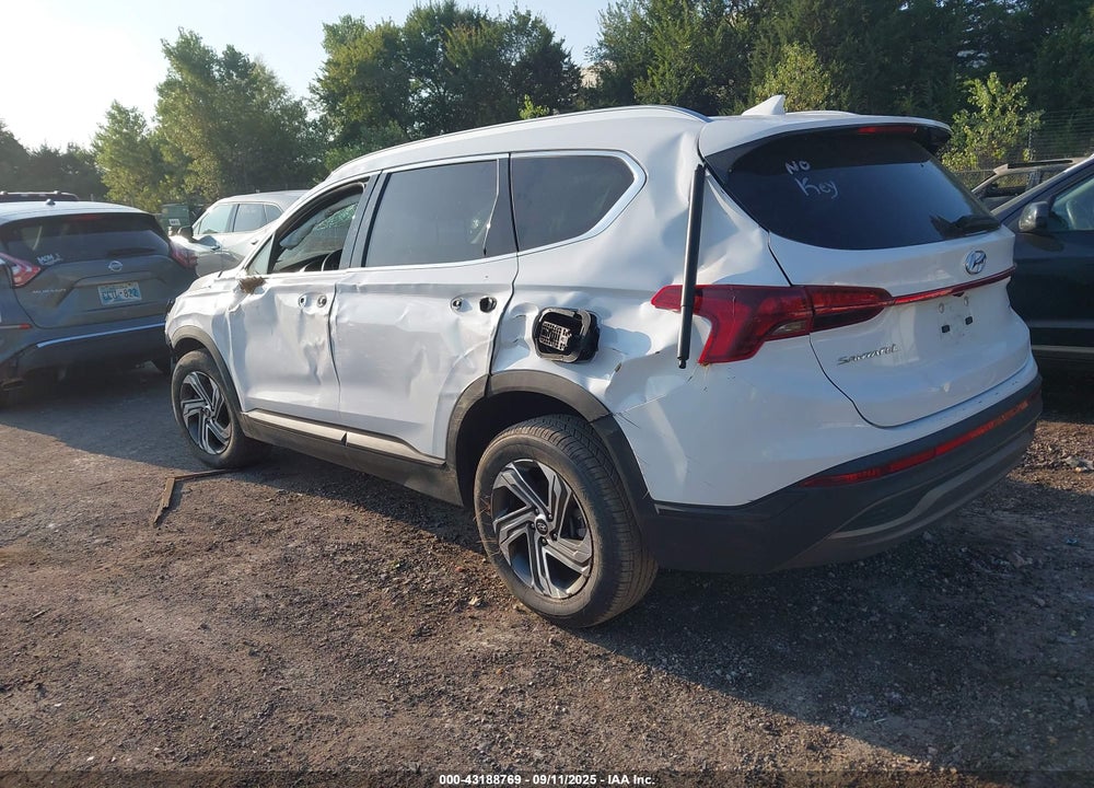 2023 HYUNDAI SANTA FE VIN: 5NMS2DAJ6PH635672