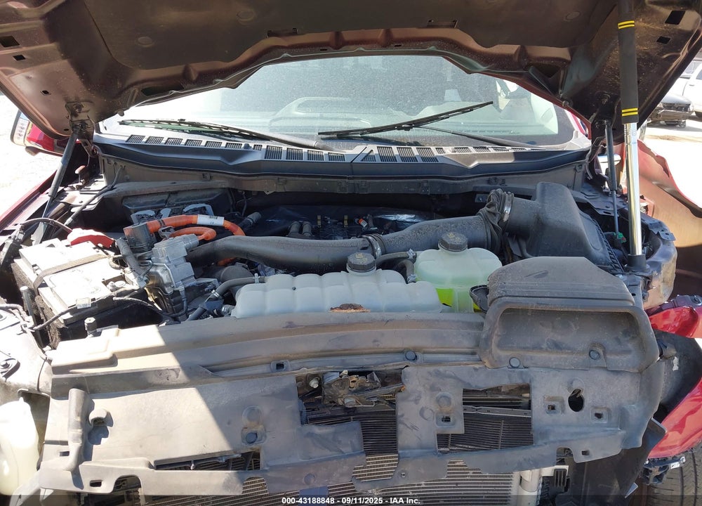 2024 FORD F-150 VIN: 1FTFW3LD5RFA31487