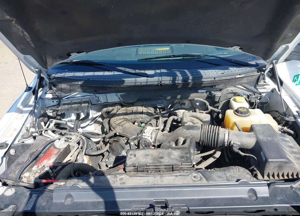 2014 FORD F-150 XL VIN: 1FTMF1EM2EKE26754