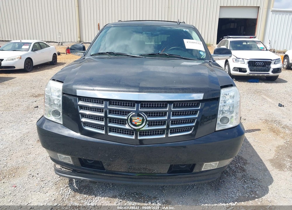 2010 CADILLAC ESCALADE VIN: 1GYUCCEF8AR119493