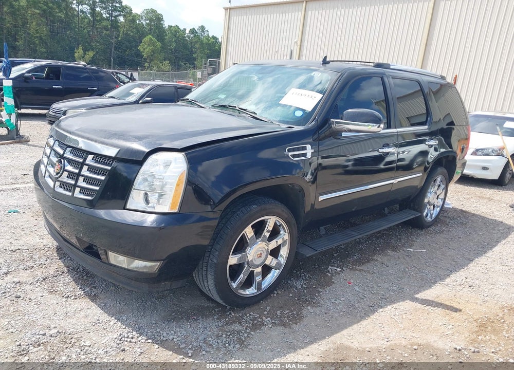 2010 CADILLAC ESCALADE VIN: 1GYUCCEF8AR119493
