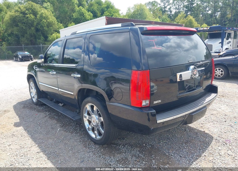 2010 CADILLAC ESCALADE VIN: 1GYUCCEF8AR119493