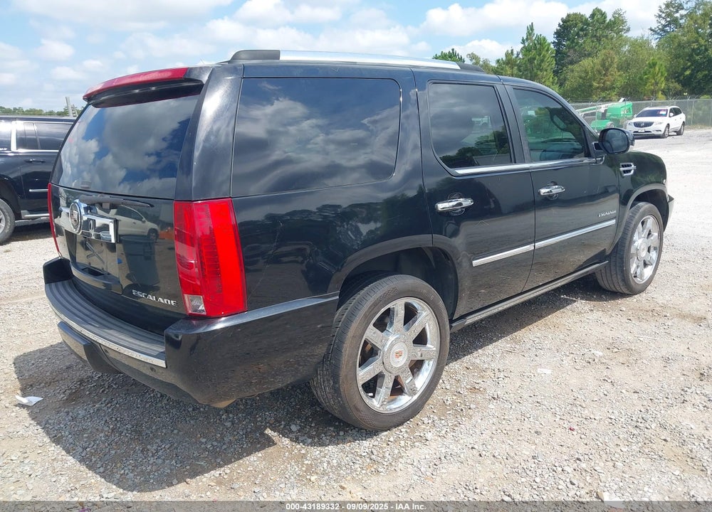 2010 CADILLAC ESCALADE VIN: 1GYUCCEF8AR119493