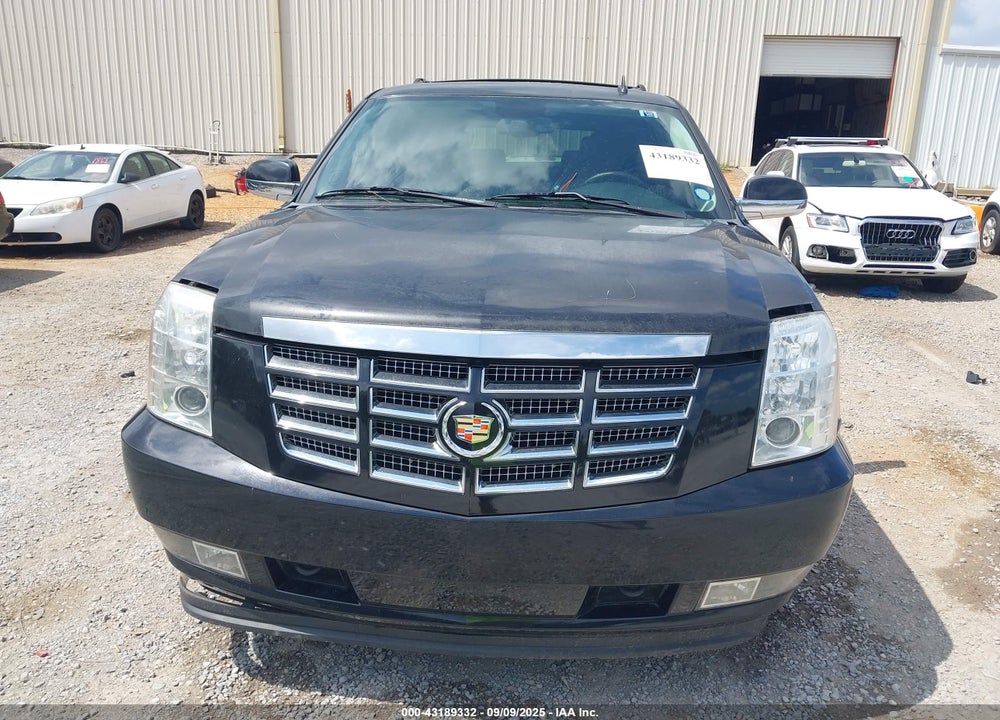 2010 CADILLAC ESCALADE VIN: 1GYUCCEF8AR119493