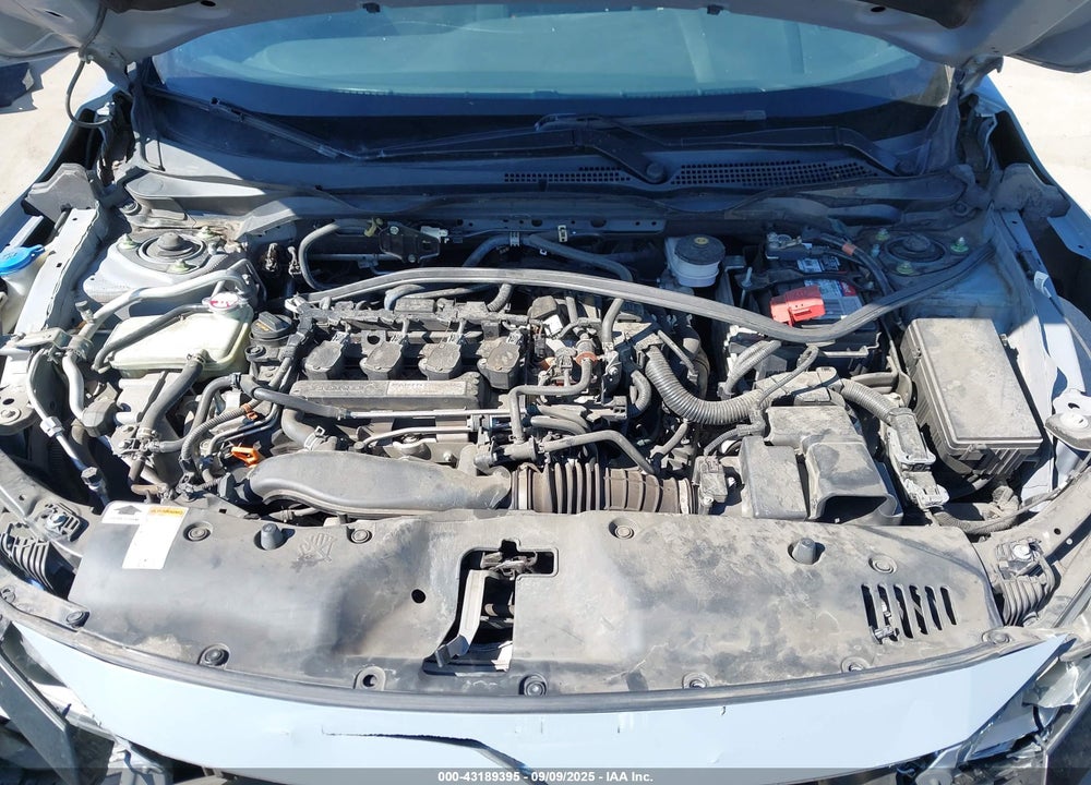 2019 HONDA CIVIC VIN: SHHFK7H43KU216061