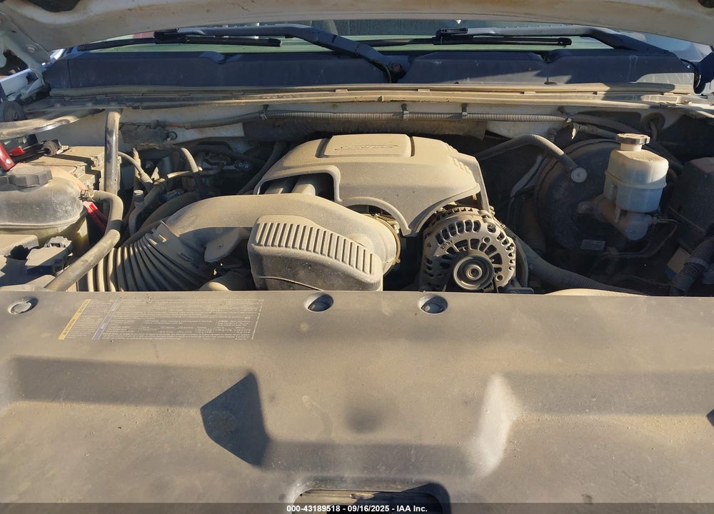 2009 CHEVROLET SILVERADO 1500 VIN: 3GCEK33319G279569