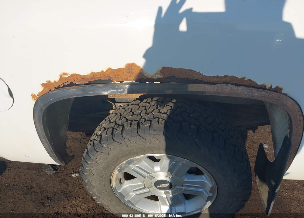 2009 CHEVROLET SILVERADO 1500 VIN: 3GCEK33319G279569