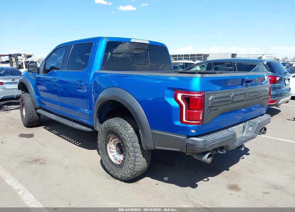 2019 FORD F-150 RAPTOR VIN: 1FTFW1RGXKFB29040