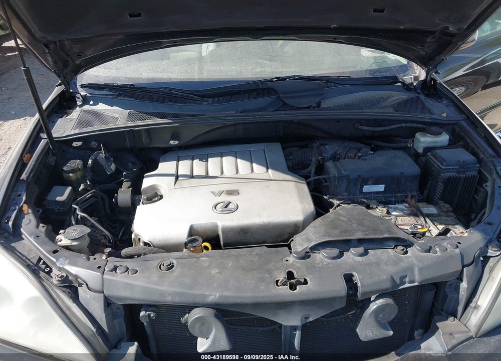2007 LEXUS RX 350 VIN: 2T2HK31U17C038574
