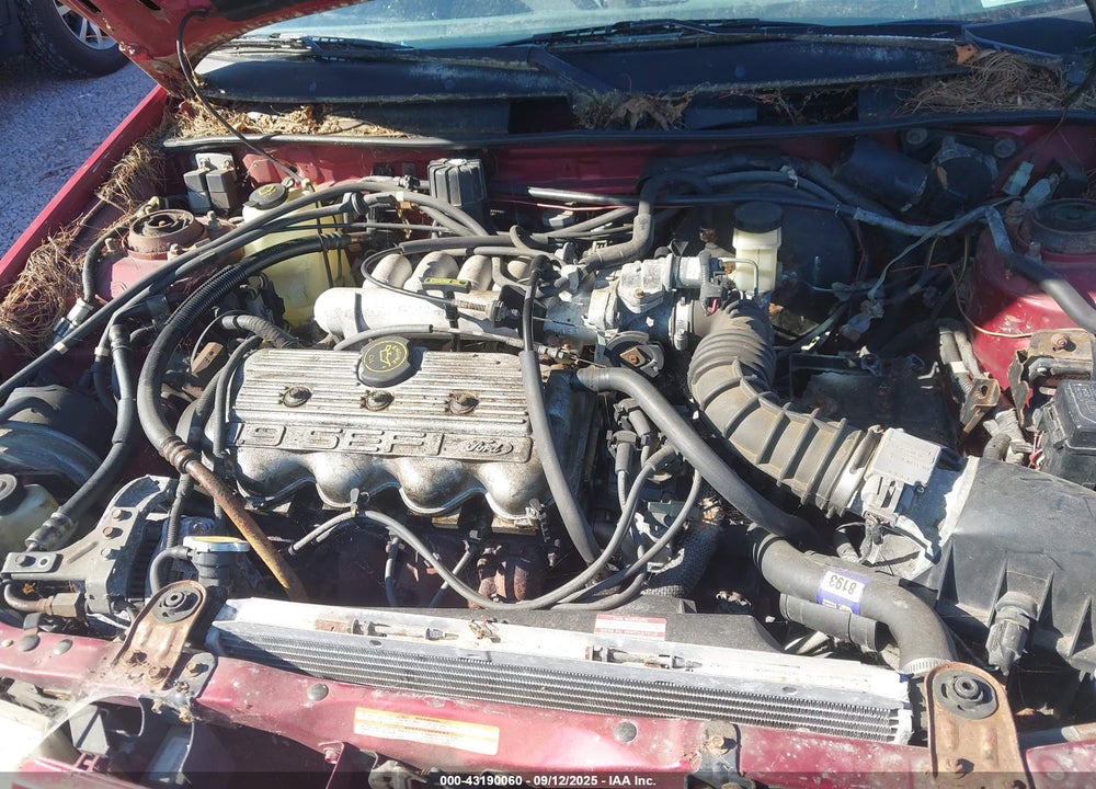 1994 FORD ESCORT LX/SPORT VIN: 1FARP15J0RW162642