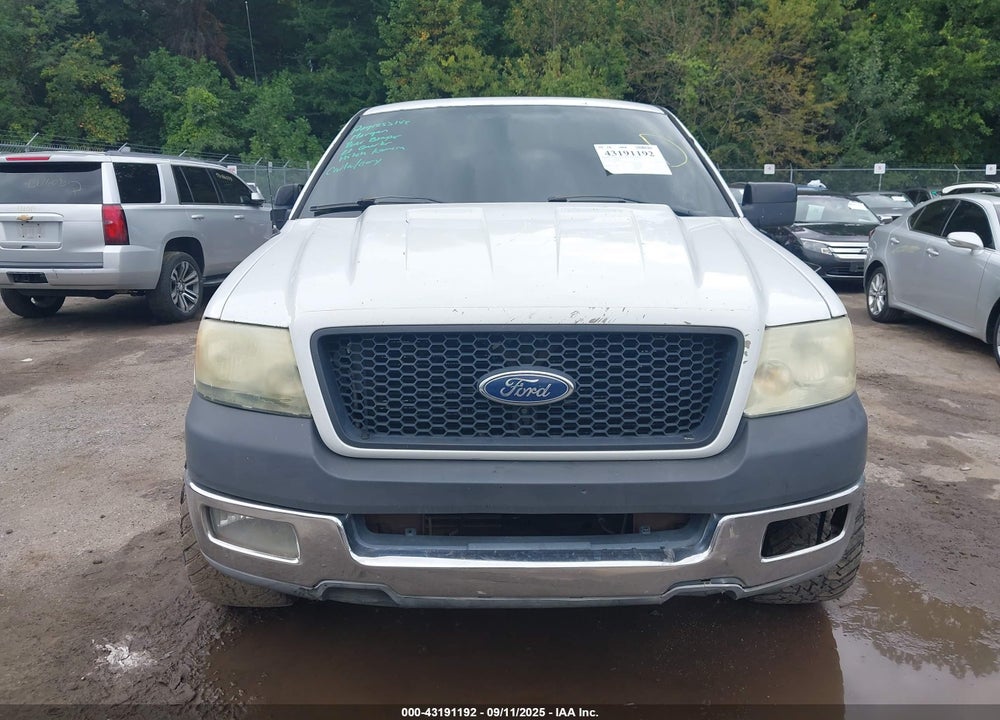 2004 FORD F-150 STX/XL/XLT VIN: 1FTRX12W34NB06493