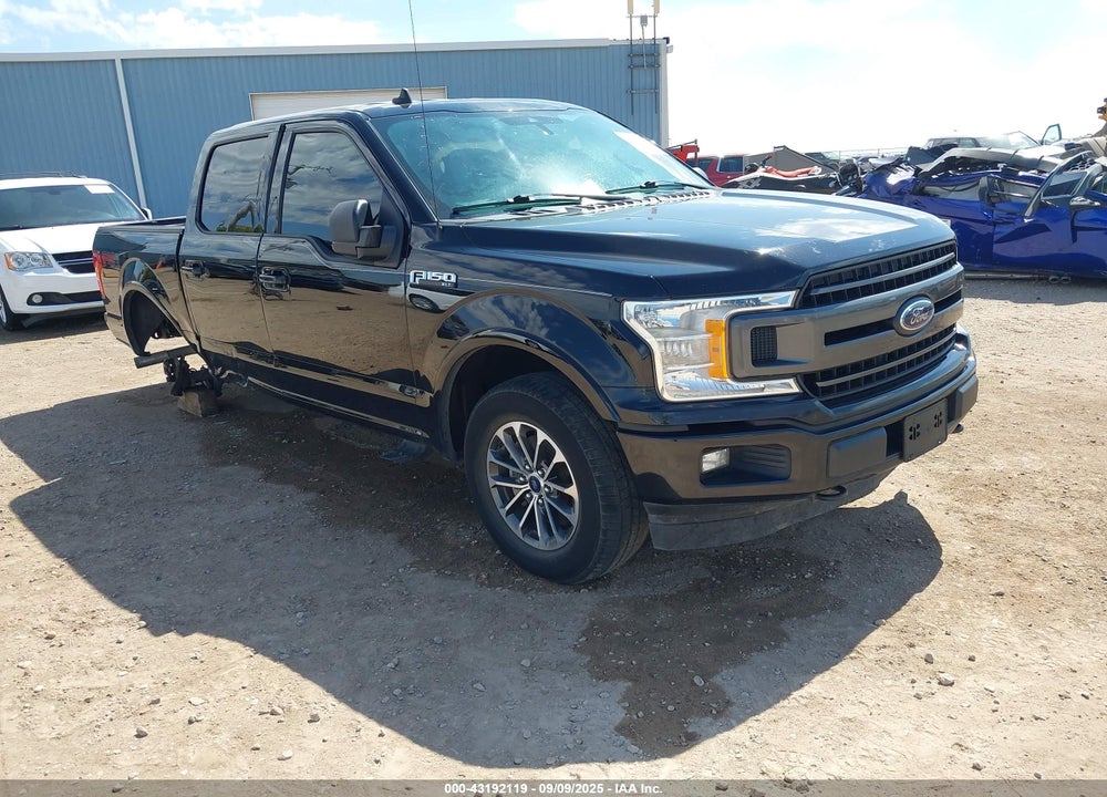 2019 FORD F-150 XLT VIN: 1FTEW1EP0KKC02179