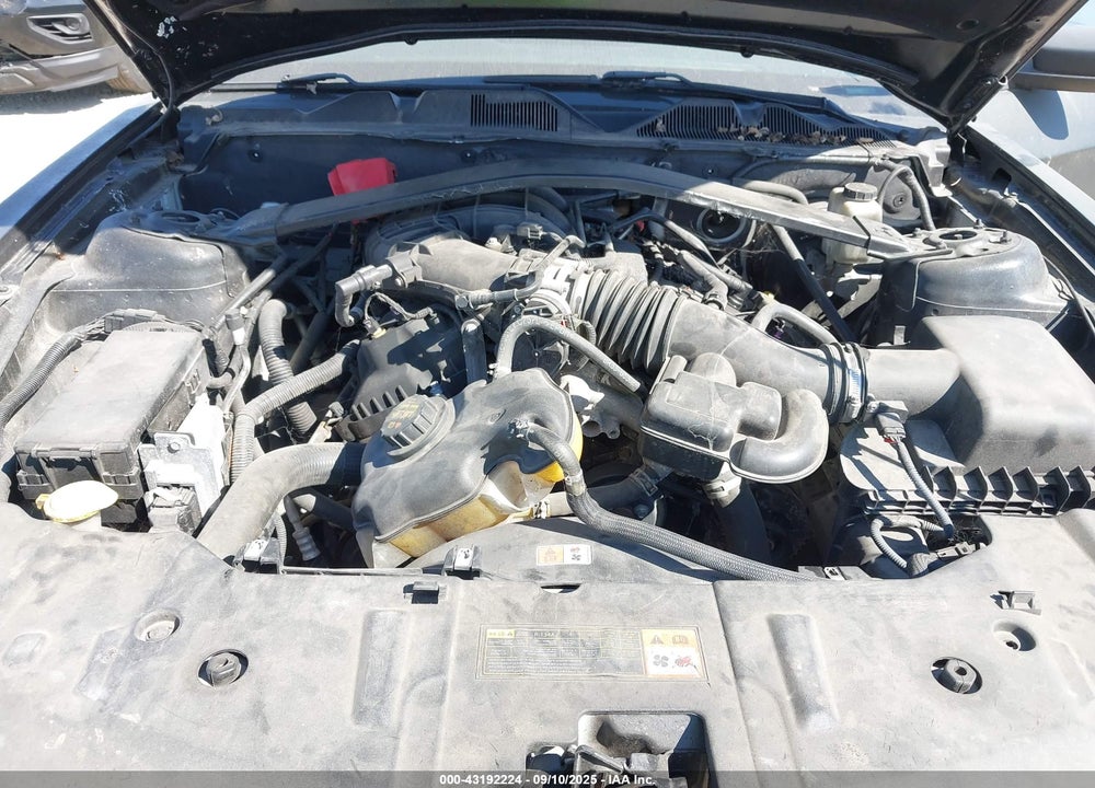 2014 FORD MUSTANG VIN: 1ZVBP8EM5E5322512