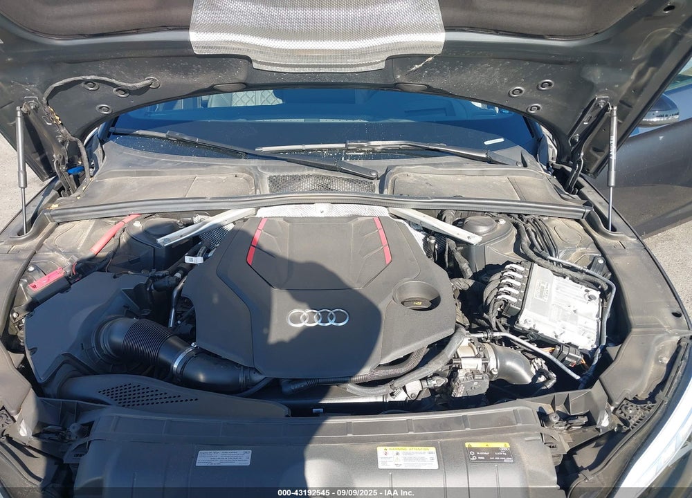 2023 AUDI S5 SPORTBACK VIN: WAUB4CF55PA005892