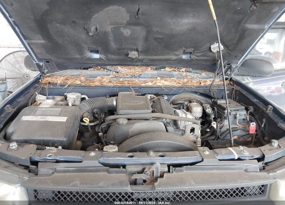2002 CHEVROLET TRAILBLAZER LT VIN: 1GNDT13S522370564