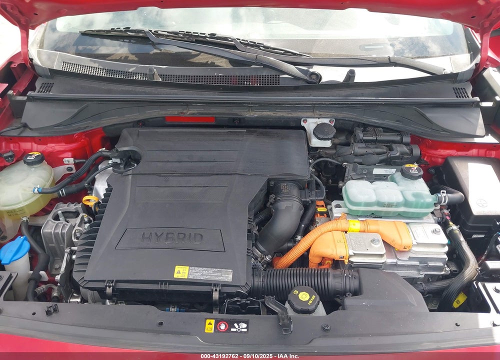 2019 KIA NIRO VIN: KNDCB3LC3K5295339