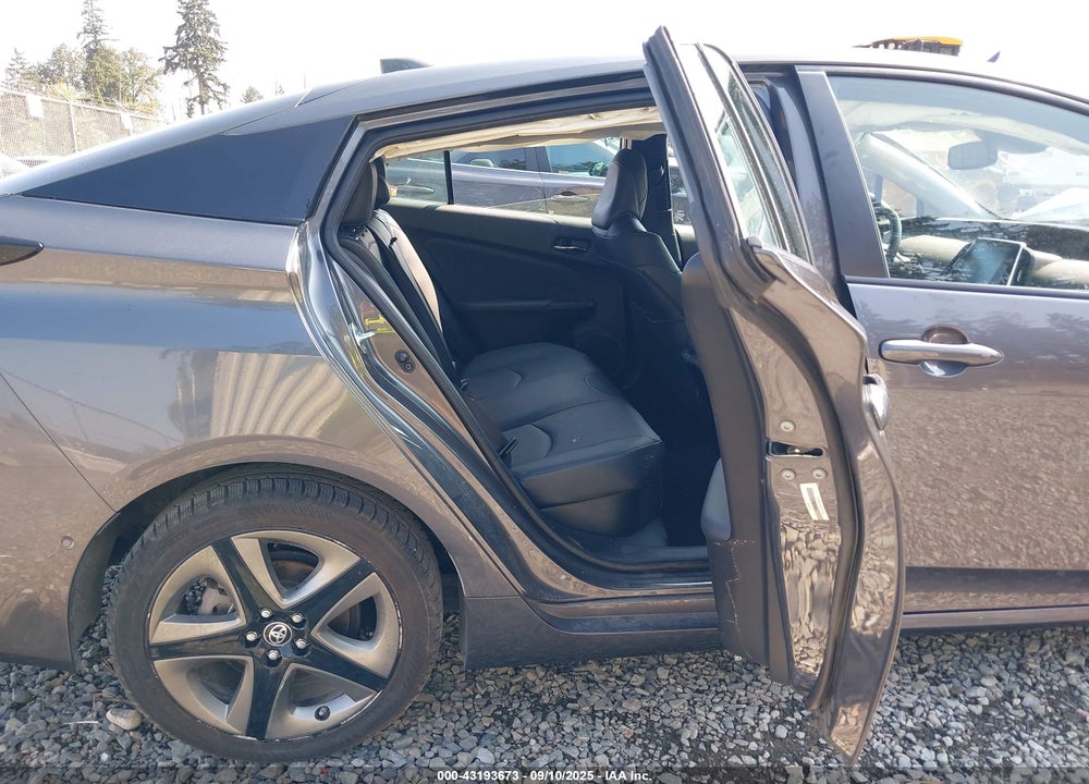 2019 TOYOTA PRIUS VIN: JTDKARFU3K3090847