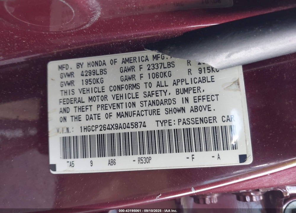 2009 HONDA ACCORD VIN: 1HGCP264X9A045874