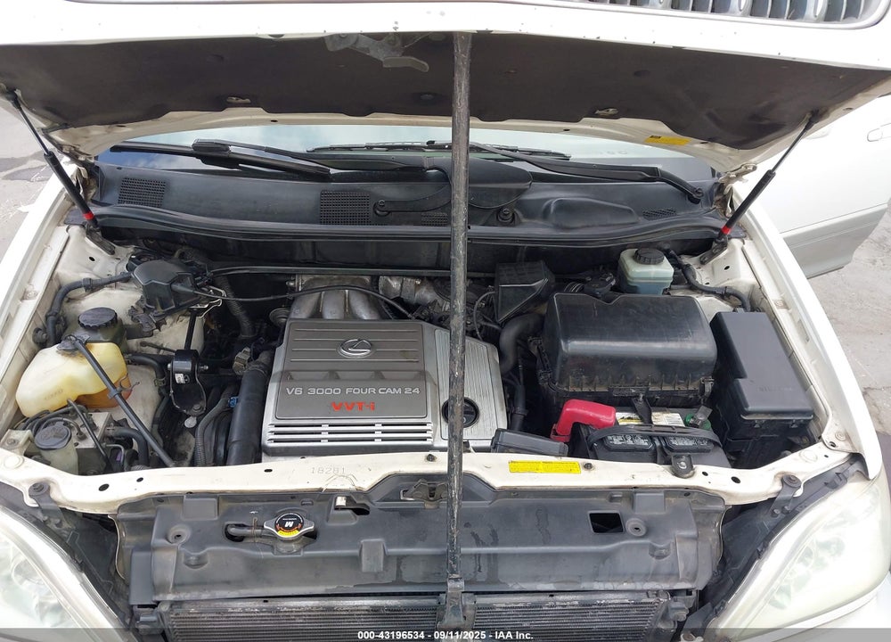 2001 LEXUS RX 300 VIN: JTJGF10U210118927