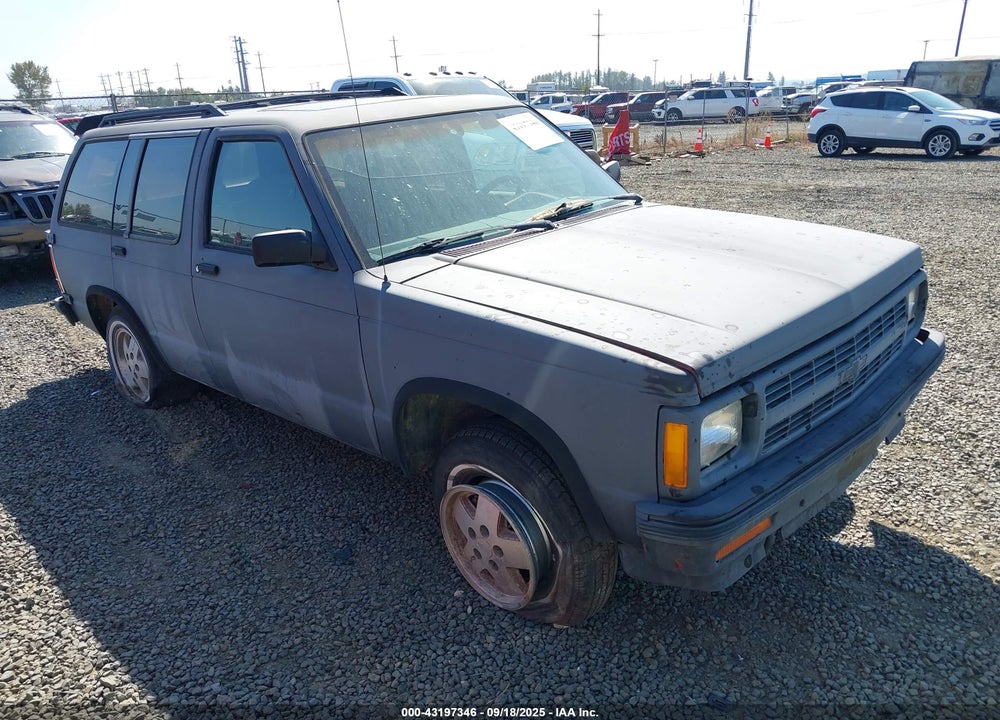 1991 CHEVROLET BLAZER S10 VIN: 1GNDT13Z5M2291993