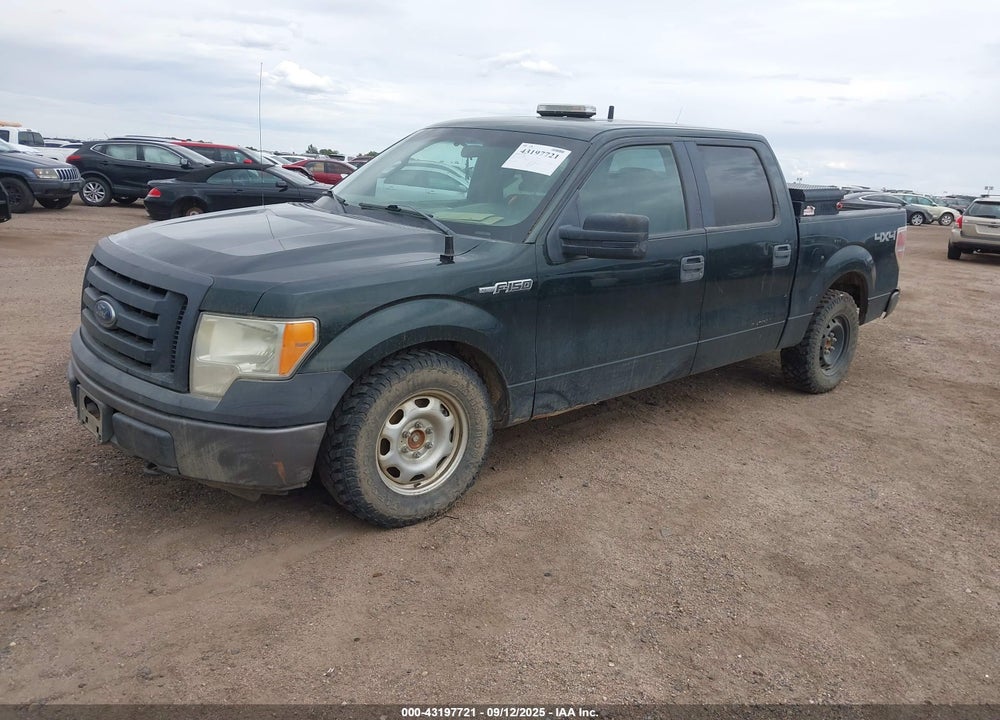 2012 FORD F-150 VIN: 1FTFW1EF9CFC61981
