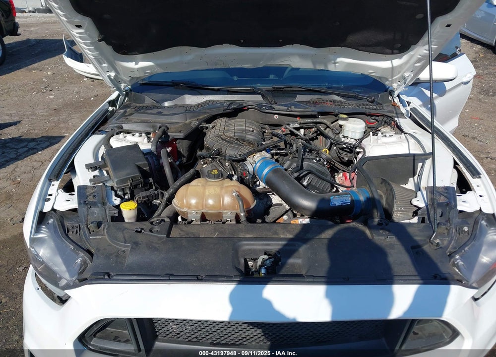 2015 FORD MUSTANG VIN: 1FA6P8AM9F5303494