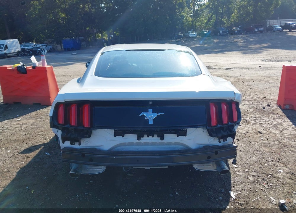 2015 FORD MUSTANG VIN: 1FA6P8AM9F5303494