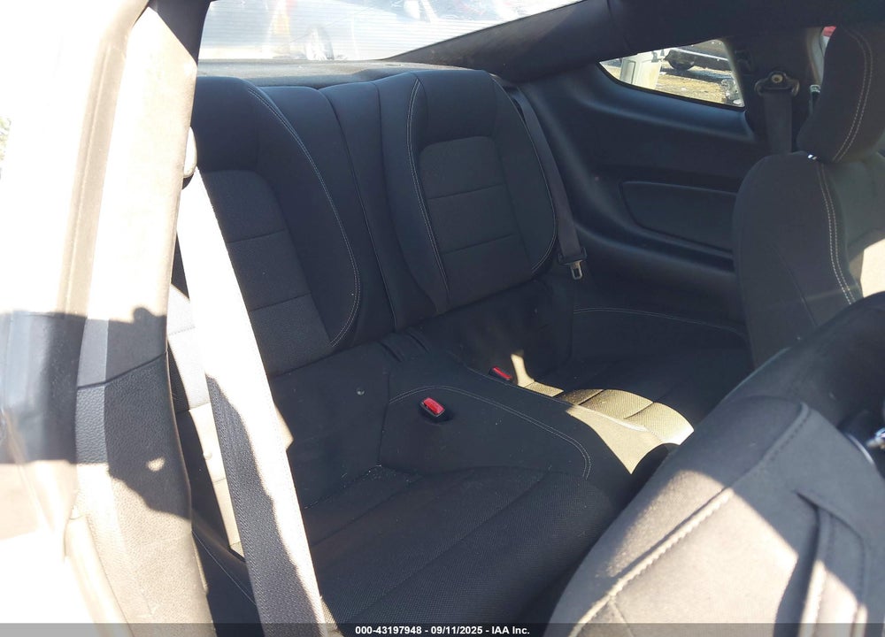 2015 FORD MUSTANG VIN: 1FA6P8AM9F5303494