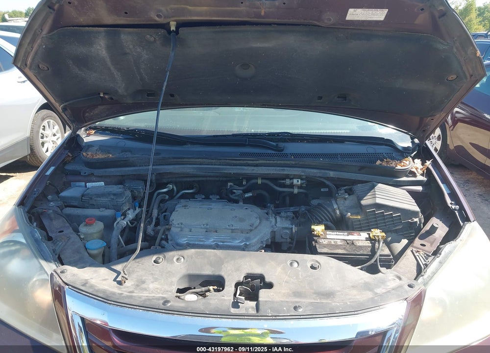 2010 HONDA ODYSSEY EX-L VIN: 5FNRL3H66AB021057