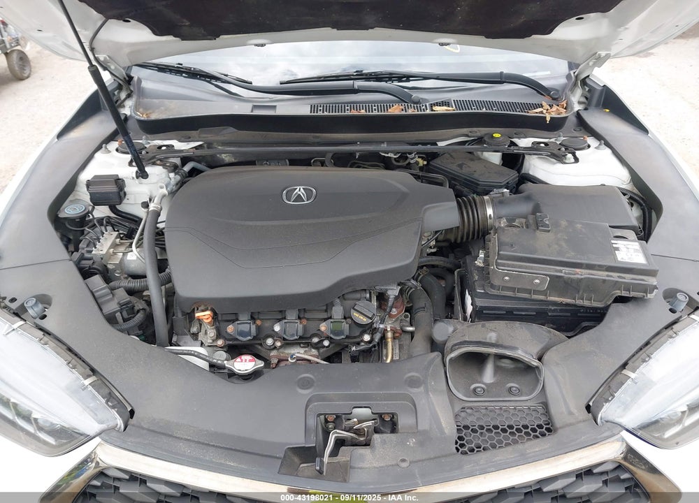 2019 ACURA TLX VIN: 19UUB3F88KA801512