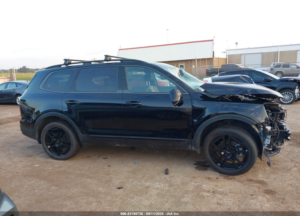 2024 KIA TELLURIDE VIN: 5XYP5DGC0RG559546
