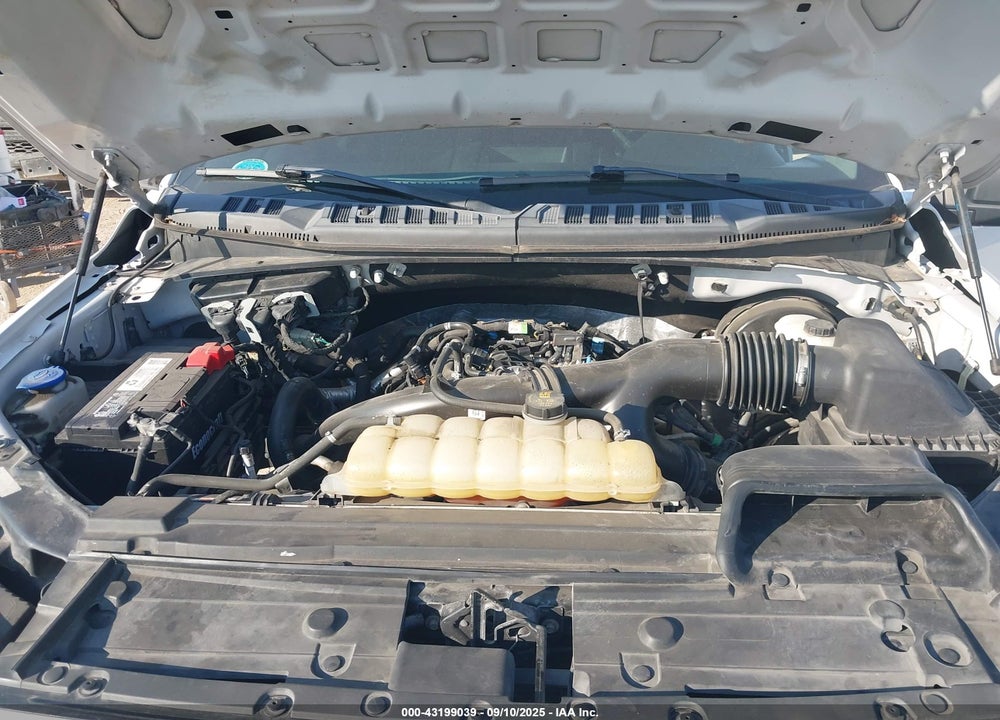 2019 FORD F-150 VIN: 1FTEW1CP5KFA07822