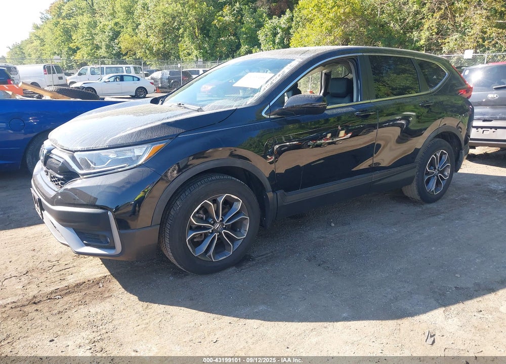 2021 HONDA CR-V VIN: 5J6RW2H81MA005102