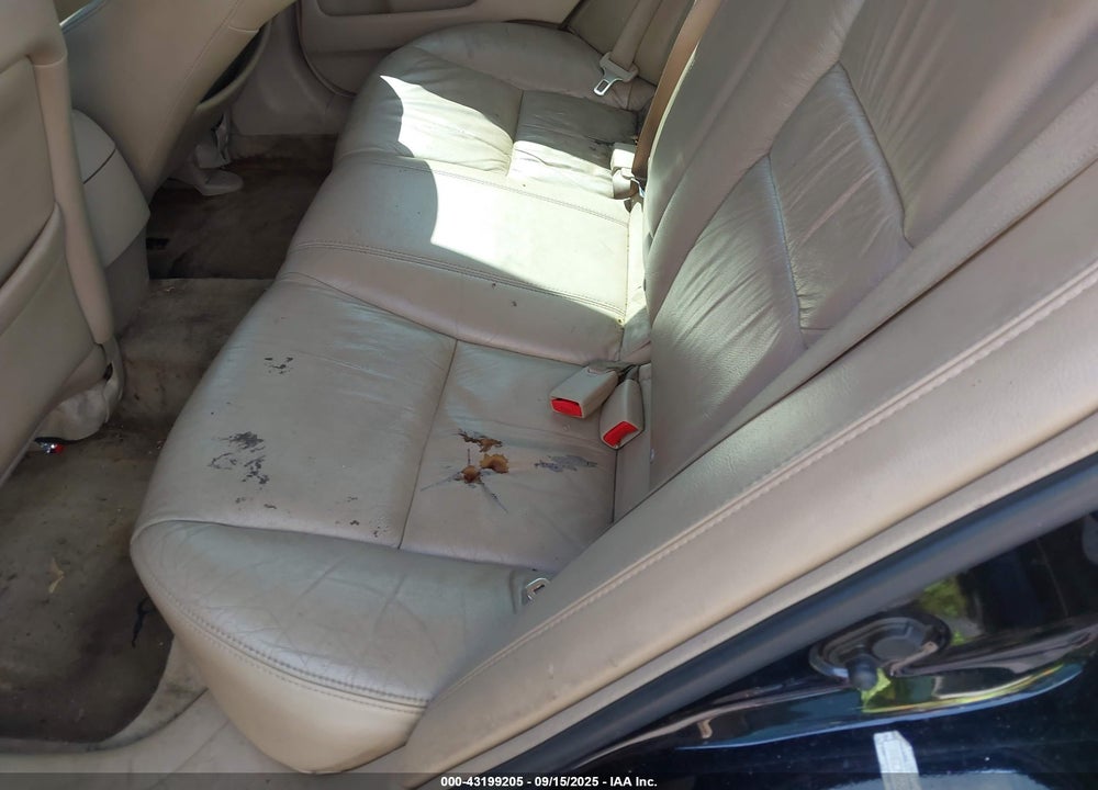 2006 HONDA ACCORD 3.0 EX VIN: 1HGCM66806A049429