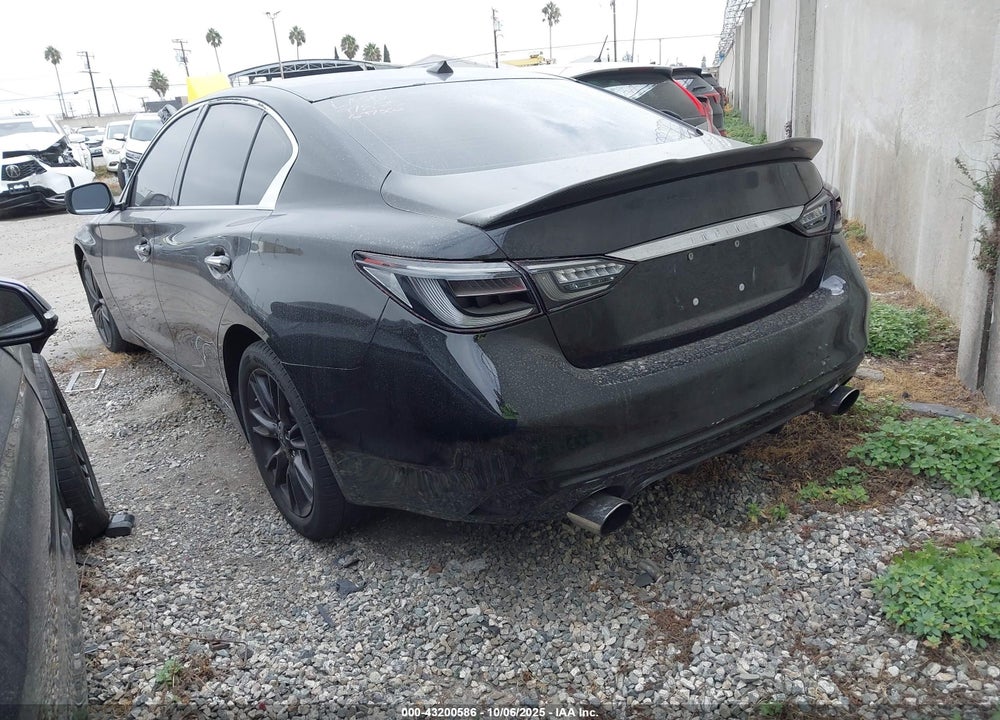 2019 INFINITI Q50 VIN: JN1EV7APXKM516375