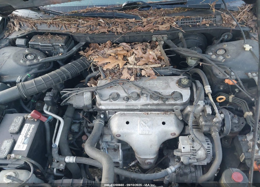 2002 HONDA ACCORD 2.3 EX VIN: 1HGCG32552A006295