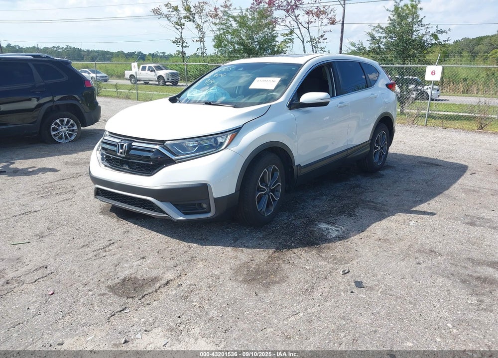 2020 HONDA CR-V VIN: 5J6RW1H54LL012306