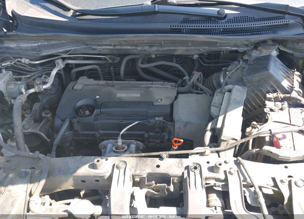2016 HONDA CR-V VIN: 5J6RM4H3XGL009938