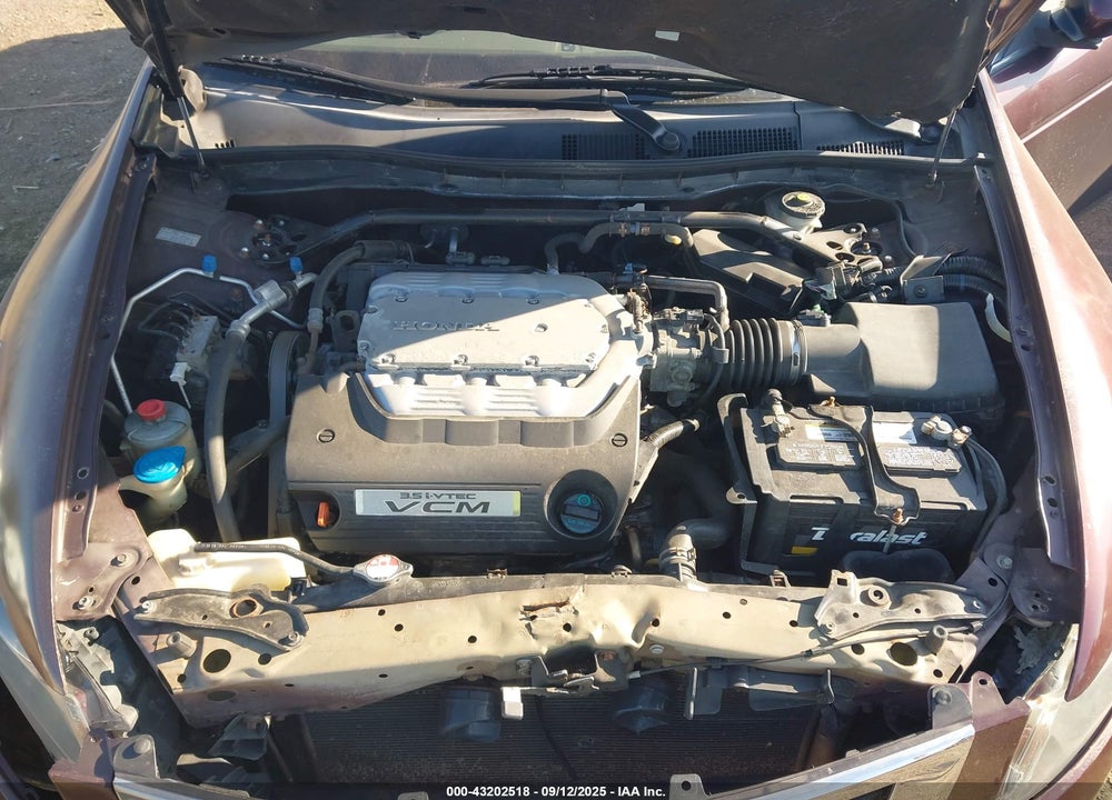 2010 HONDA ACCORD VIN: 5KBCP3F84AB006895