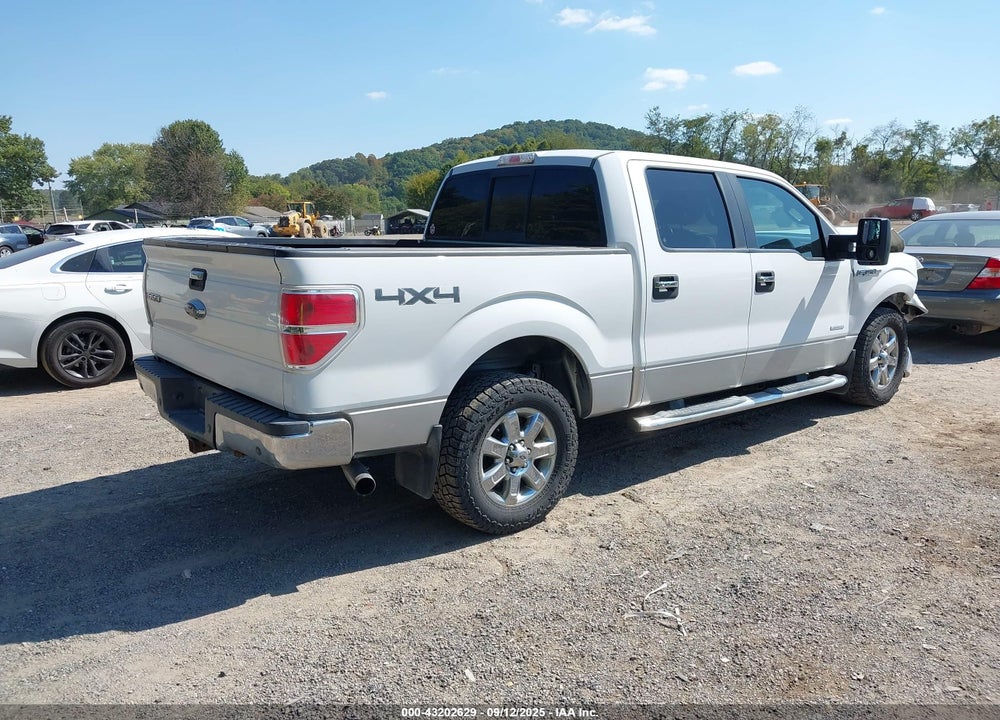 2013 FORD F-150 VIN: 1FTFW1ET9DFD16579