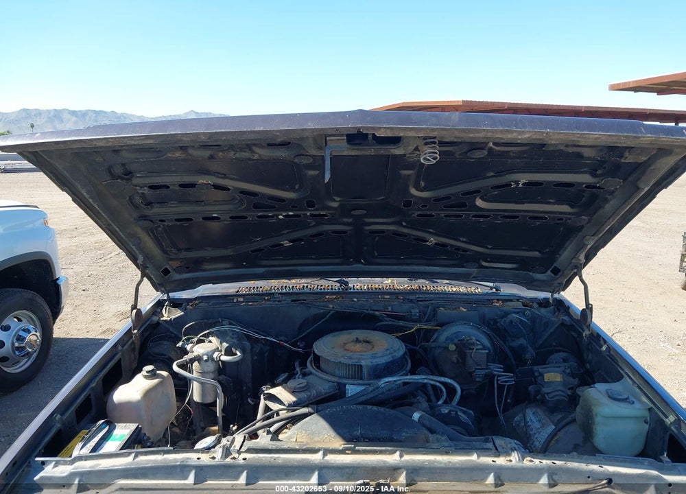 1985 CHEVROLET C20 VIN: 1GCGC24M1FJ177917