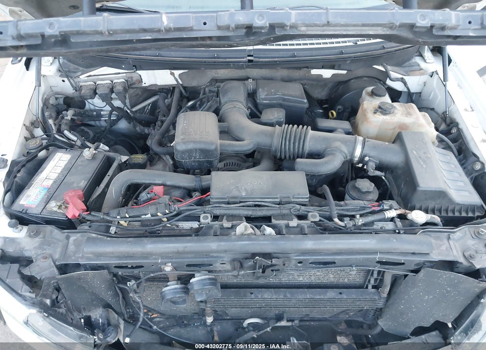 2009 FORD F-150 VIN: 1FTPW14V09FB36485