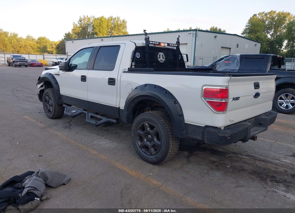 2009 FORD F-150 VIN: 1FTPW14V09FB36485