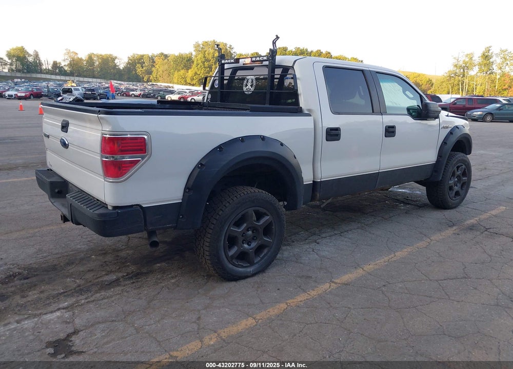 2009 FORD F-150 VIN: 1FTPW14V09FB36485