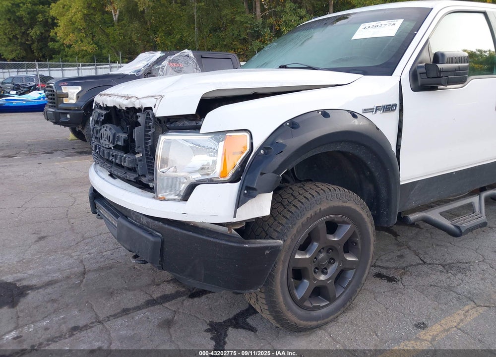 2009 FORD F-150 VIN: 1FTPW14V09FB36485