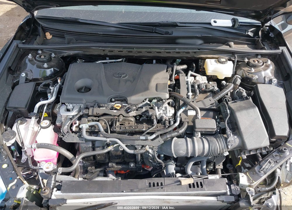 2023 TOYOTA CAMRY VIN: 4T1F31AK6PU055381